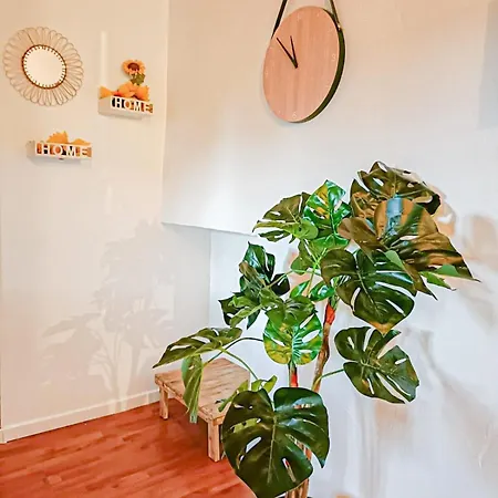 Appartement Cosy Cinta 1ch - Centre Bosquet - Quiet